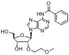 N6-苯甲?；?2'-O-(2-甲氧基乙基)腺苷